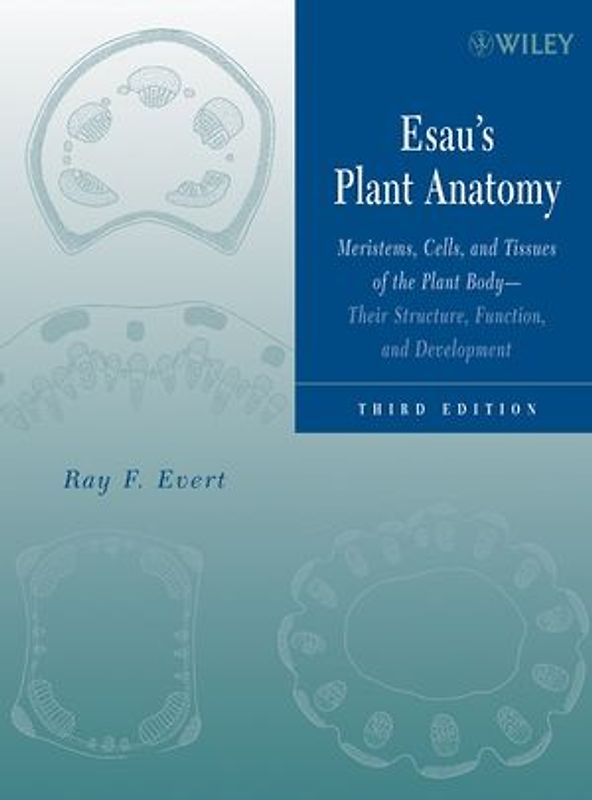 Esau's Plant Anatomy