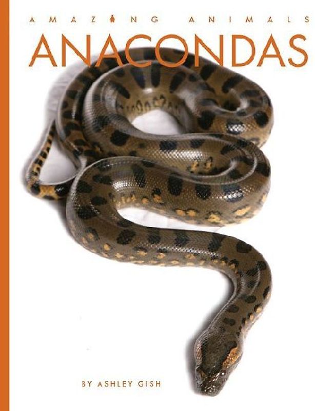 Anacondas