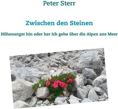 Zwischen den Steinen