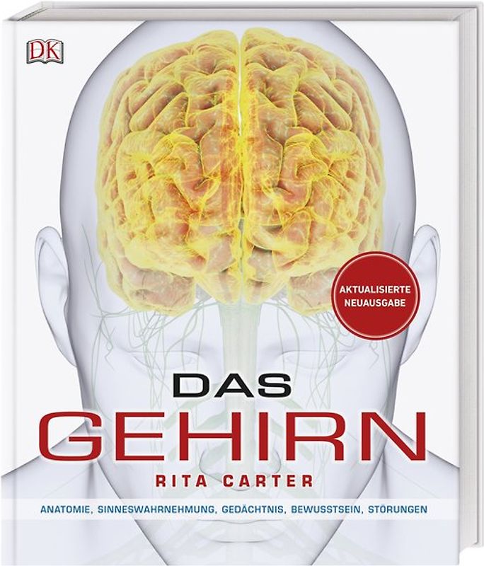 Das Gehirn