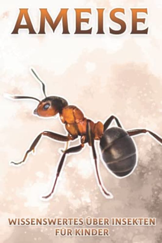 Ameise: Wissenswertes über Insekten für Kinder #13