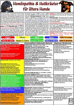 Homöopathie & Heilkräuter für "ältere" Hunde