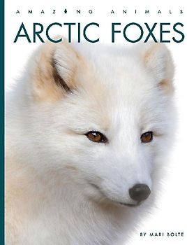 Arctic Foxes
