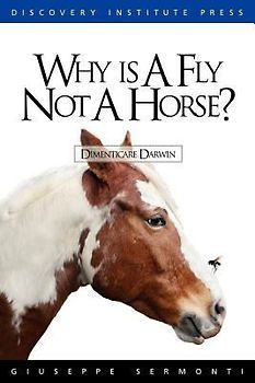 Why is a Fly Not a Horse?