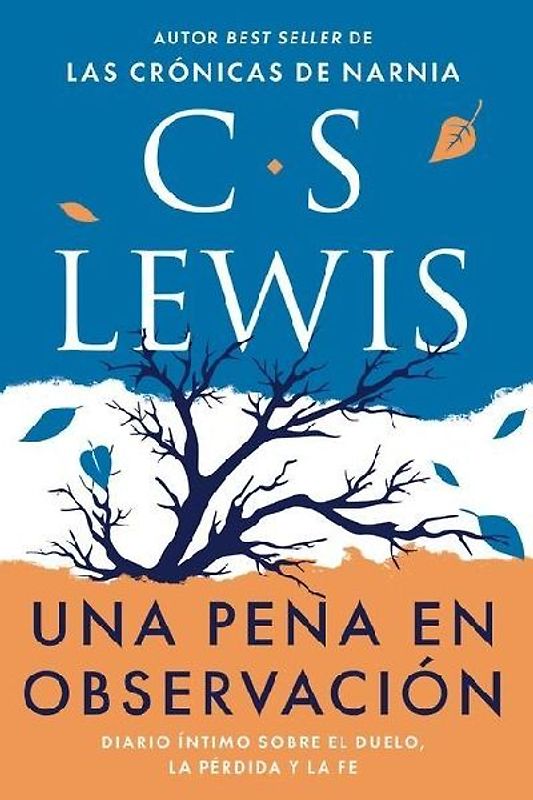 Una Pena En Observación