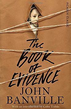 The Book of Evidence (Picador Classics) - Banville, John