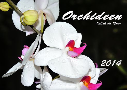 Orchideen 2014 Kalender (DIN A3)