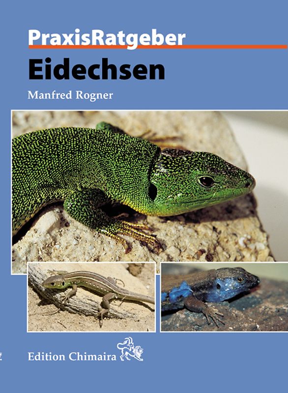 Eidechsen
