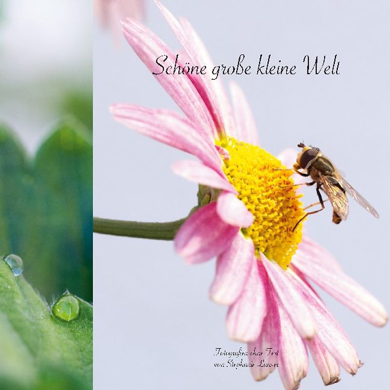 Schöne große kleine Welt