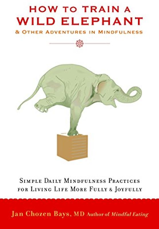 How to Train a Wild Elephant: And Other Adventures in Mindfulness - Jan Chozen Bays