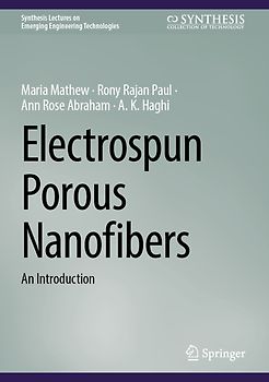 Electrospun Porous Nanofibers