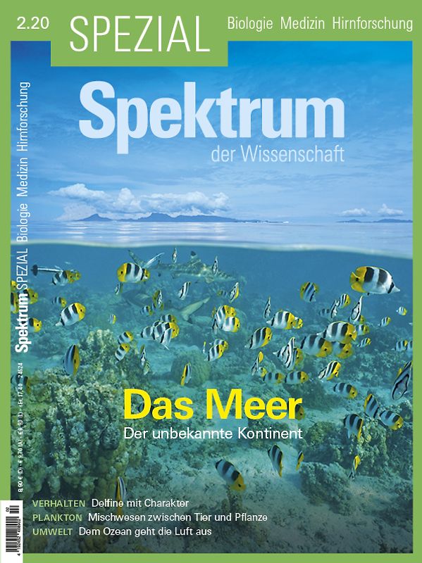 Spektrum Spezial - Das Meer