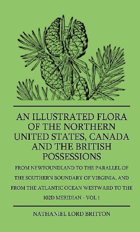 An Illustrated Flora Of The Northern United States, Canada And The British Possessions - From Newfoundland To The Parallel Of The Southern Boundary Of Virginla, And From The Atlantic Ocean Westward To The 102D Meridian - Vol 1