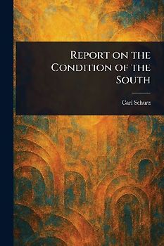 Report on the Condition of the South