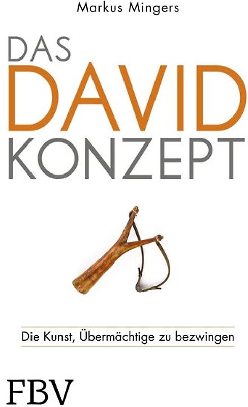 Das David-Konzept