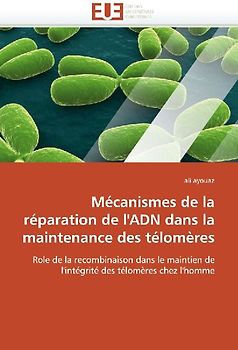 Mécanismes de la réparation de l''ADN dans la maintenance des télomères