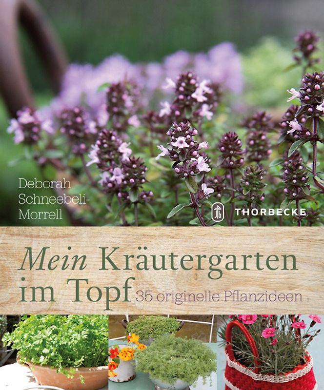 Mein Kräutergarten im Topf. 35 originelle Pflanzideen