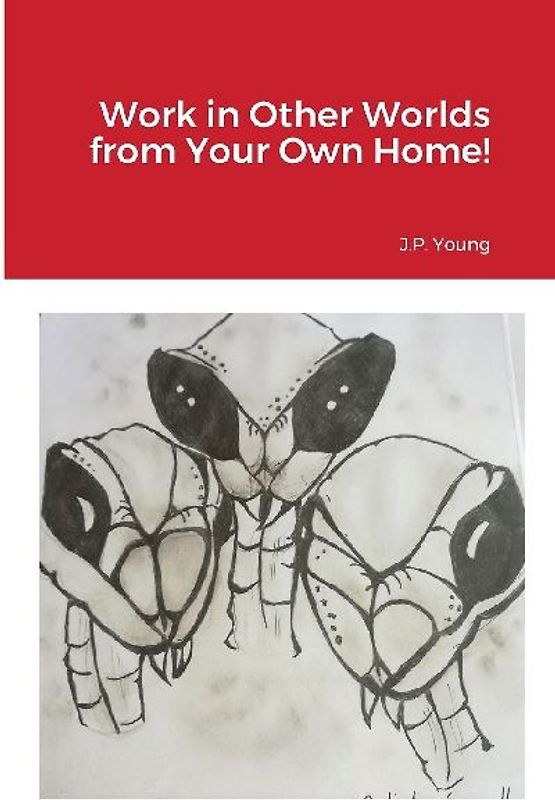 Work in Other Worlds from Your Own Home!