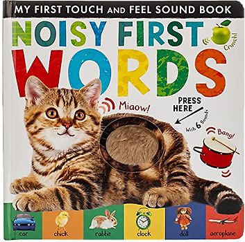 Noisy First Words: My First Touch and Feel Sound Book (My First Touch & Feel Sound Bk)