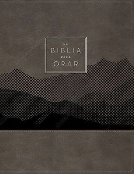 Rvr60, La Biblia Para Orar, Leathersoft, Gris, Palabras de Jesús En Rojo, Comfort Print