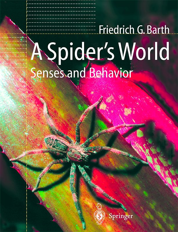 A Spider’s World