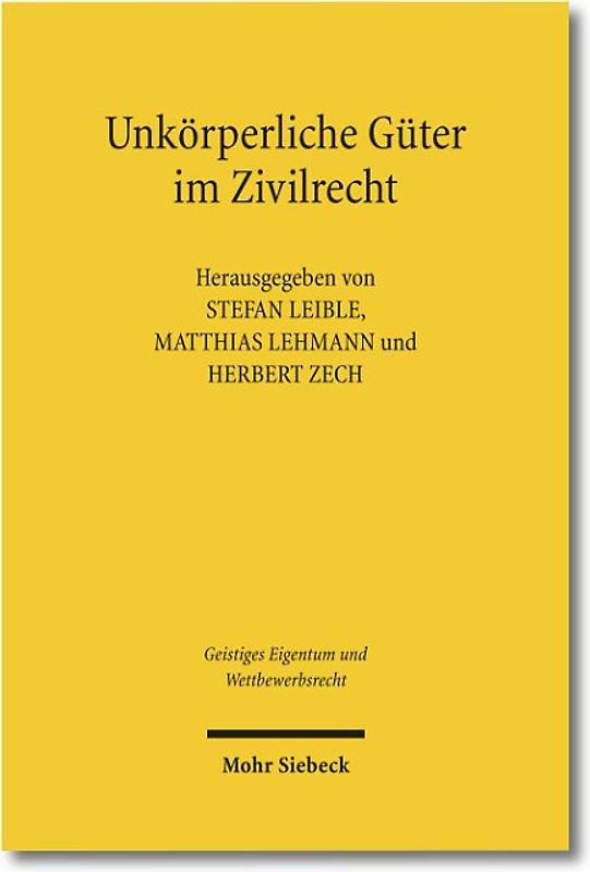 Unkörperliche Güter im Zivilrecht