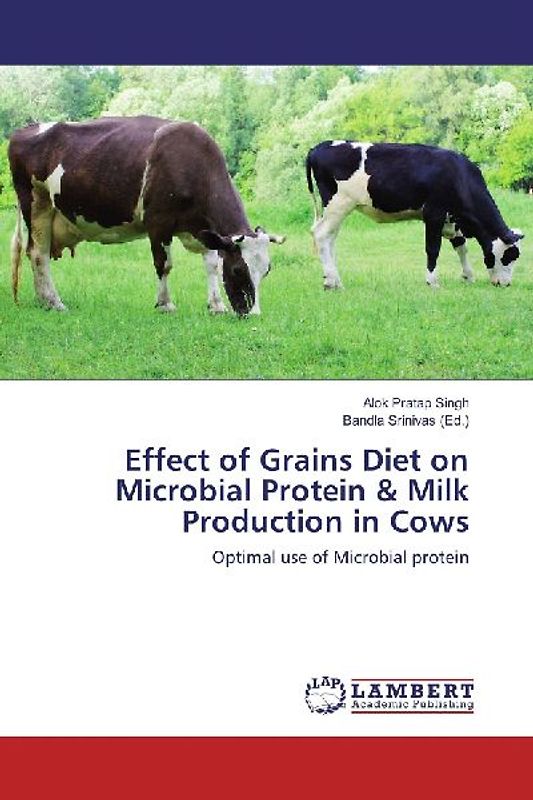 Effect of Grains Diet on Microbial Protein & Milk Production in Cows