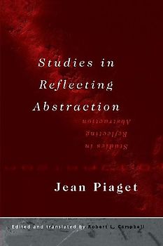 Studies in Reflecting Abstraction