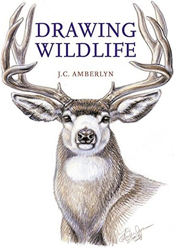Drawing Wildlife - J.C. Amberlyn