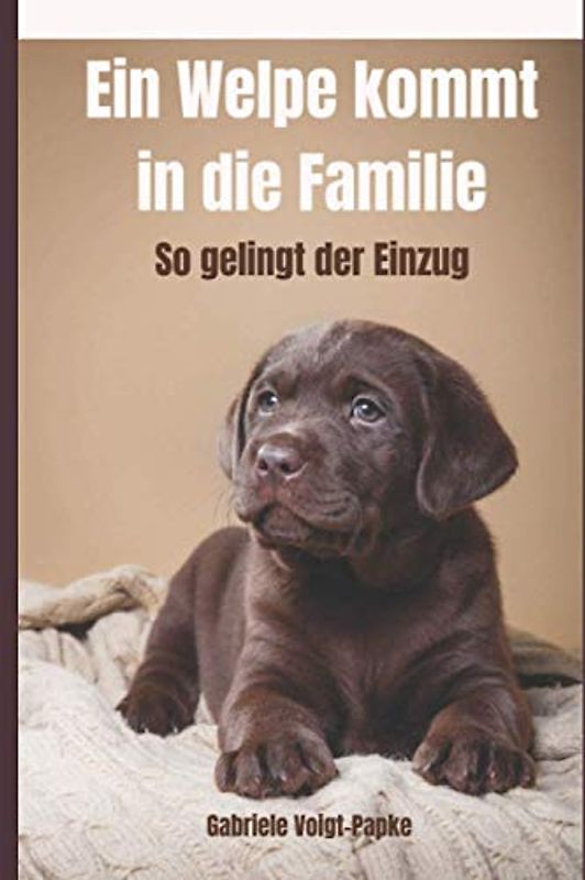Ein Welpe kommt in die Familie: So gelingt der Einzug