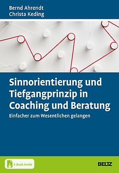 Sinnorientierung und Tiefgangprinzip in Coaching und Beratung