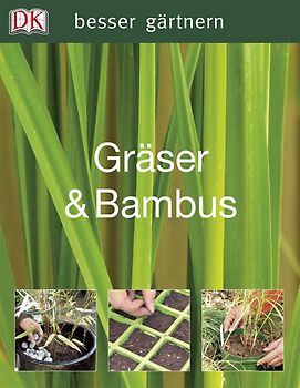 Gräser & Bambus