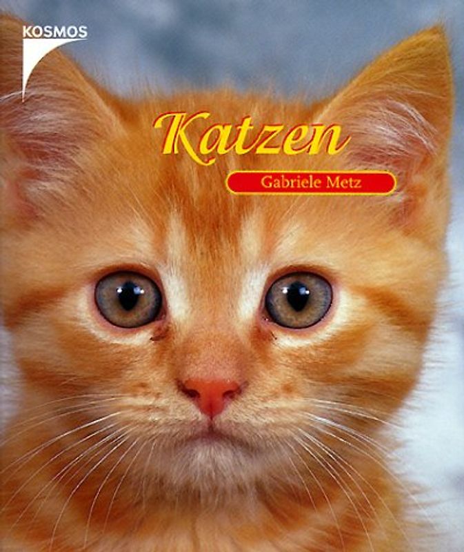 Katzen