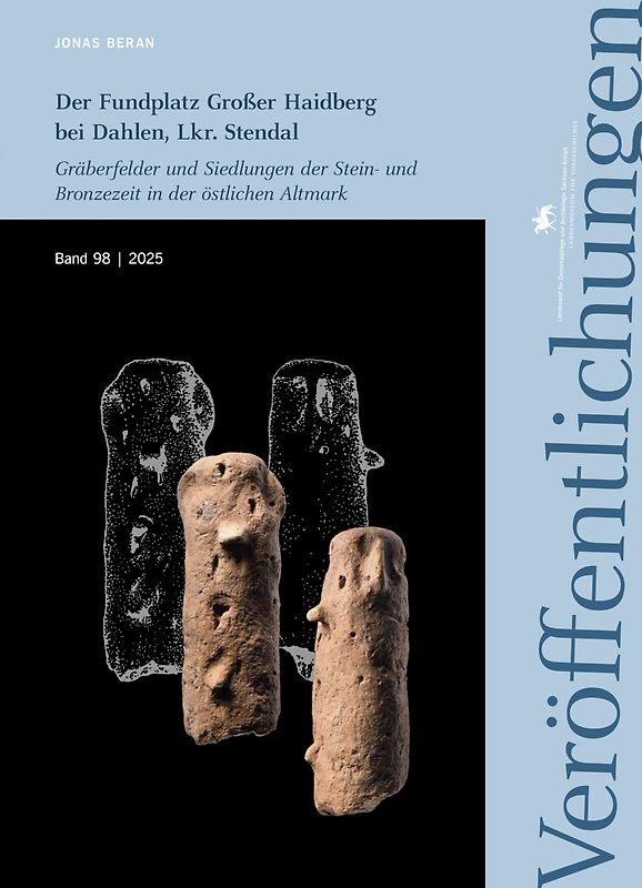 Der Fundplatz Großer Haidberg bei Dahlen, Lkr. Stendal (Veröffentlichungen des Landesamtes für Denkmalpflege und Archäologie 98)