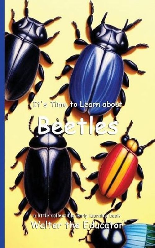 It's Time to Learn about Beetles