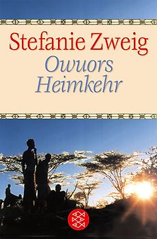 Owuors Heimkehr. Erzählungen