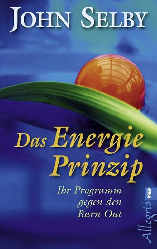 Das Energie-Prinzip
