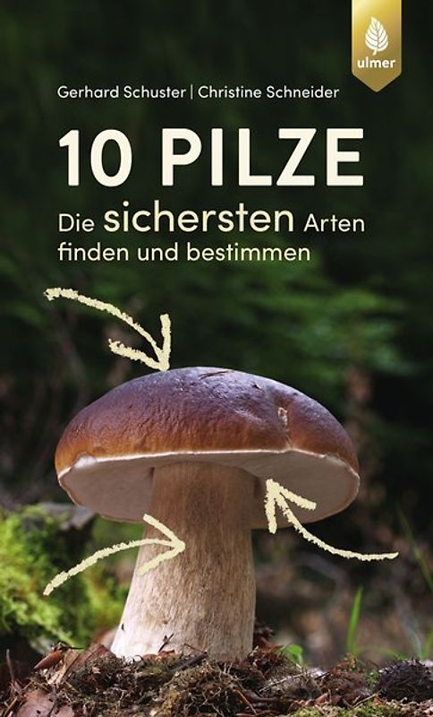 10 Pilze
