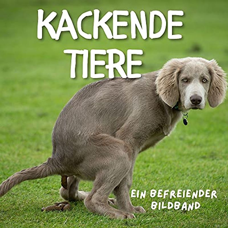 Kackende Tiere