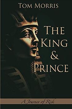 The King and Prince: A Journey of Risk (Walid and the Mysteries of Phi, Band 4)