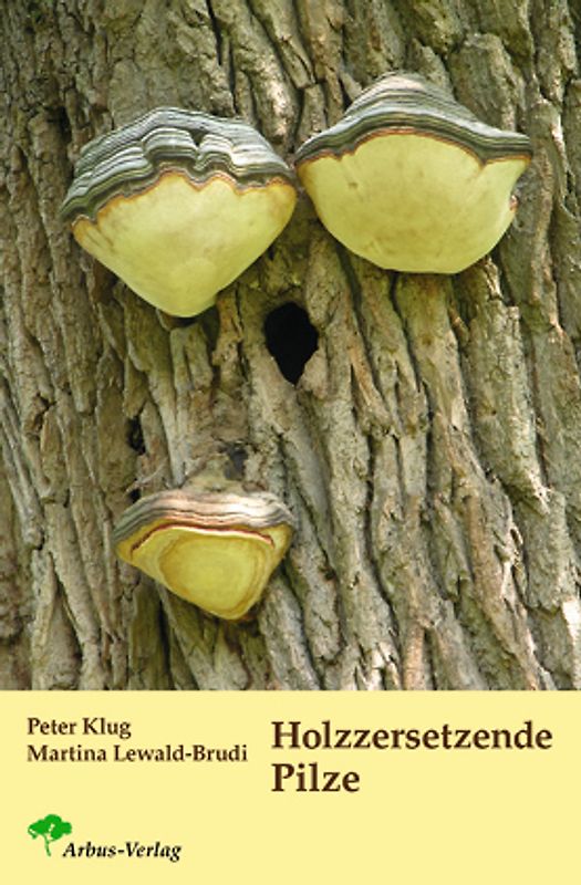 Holzzersetzende Pilze