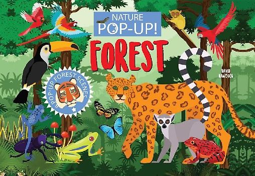Nature Pop-Up! Forests