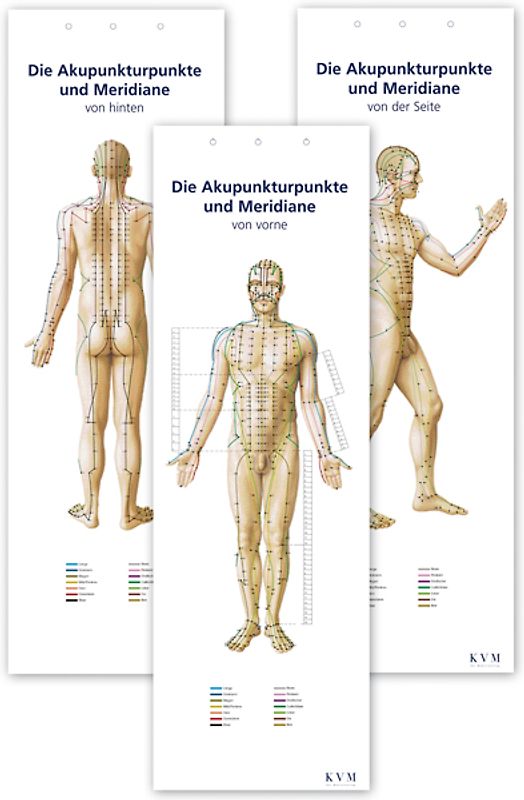Lernposter: Akupunkturpunkte und Meridiane