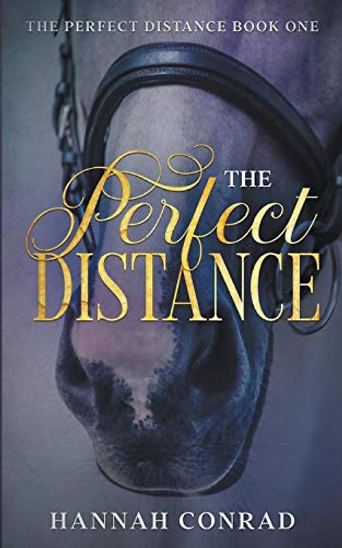The Perfect Distance (Fantasy Unleashed: The Perfect Distance, Band 1)