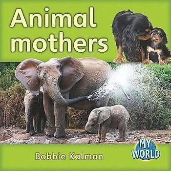 Animal Mothers