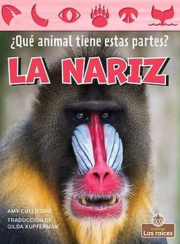 La Nariz (Nose)