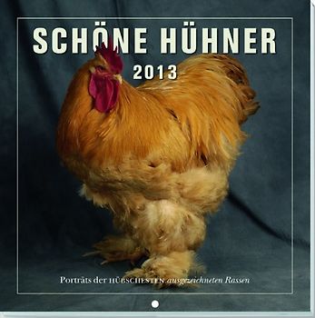 Schöne Hühner 2013