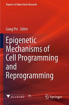 Epigenetic Mechanisms of Cell Programming and Reprogramming
