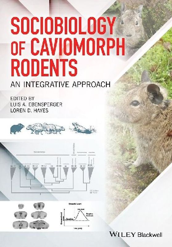 Sociobiology of Caviomorph Rodents