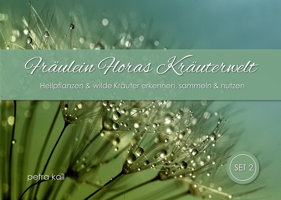 Heilpflanzen und wilde Kräuter | Set 2